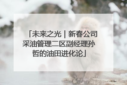 未来之光｜新春公司采油管理二区副经理孙哲的油田进化论