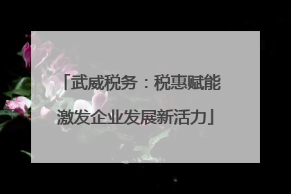 武威税务：税惠赋能 激发企业发展新活力