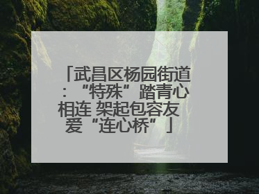 武昌区杨园街道：“特殊”踏青心相连 架起包容友爱“连心桥”