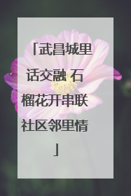武昌城里话交融 石榴花开串联社区邻里情