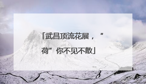 武昌顶流花展，“荷”你不见不散
