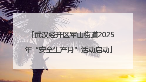武汉经开区军山街道2025年“安全生产月”活动启动