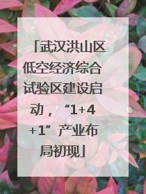 武汉洪山区低空经济综合试验区建设启动，“1+4+1”产业布局初现