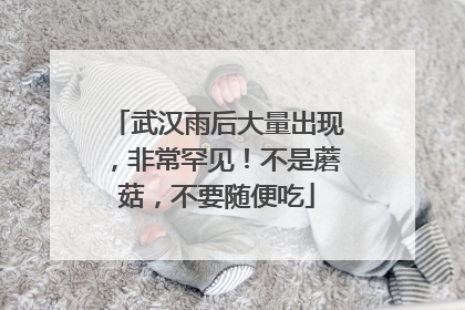武汉雨后大量出现，非常罕见！不是蘑菇，不要随便吃