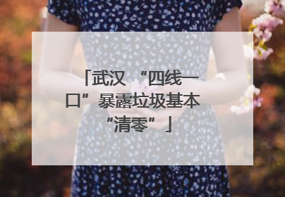 武汉 “四线一口”暴露垃圾基本 “清零”