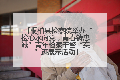 桐柏县检察院举办“检心永向党，青春铸忠诚”青年检察干警“实”迹展示活动