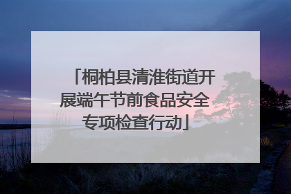 桐柏县清淮街道开展端午节前食品安全专项检查行动