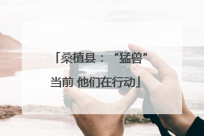桑植县：“猛兽”当前 他们在行动
