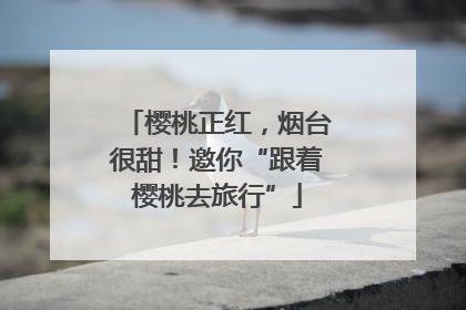 樱桃正红，烟台很甜！邀你“跟着樱桃去旅行”