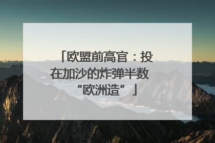 欧盟前高官：投在加沙的炸弹半数“欧洲造”