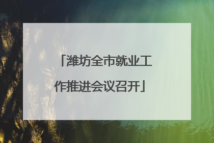 潍坊全市就业工作推进会议召开