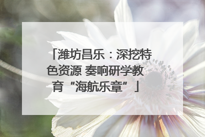 潍坊昌乐：深挖特色资源 奏响研学教育“海航乐章”