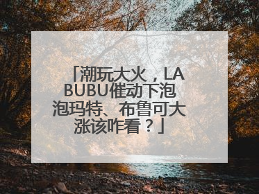 潮玩大火，LABUBU催动下泡泡玛特、布鲁可大涨该咋看？