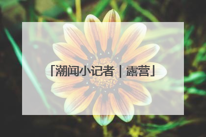 潮闻小记者｜露营