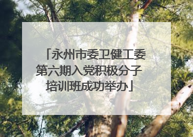 永州市委卫健工委第六期入党积极分子培训班成功举办