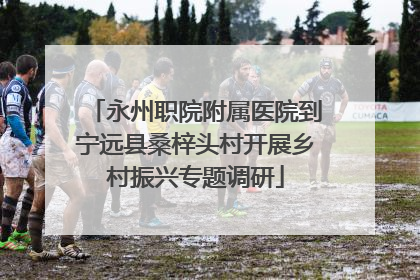 永州职院附属医院到宁远县桑梓头村开展乡村振兴专题调研