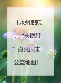 永州职院：“志愿红”点亮周末公益地图