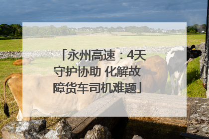 永州高速：4天守护协助 化解故障货车司机难题