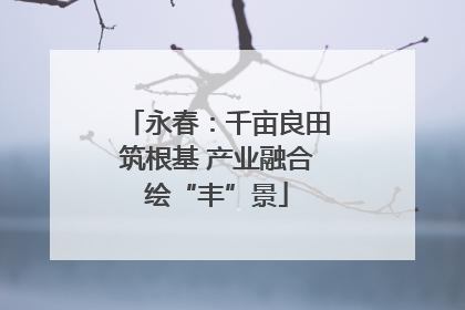 永春：千亩良田筑根基 产业融合绘“丰”景