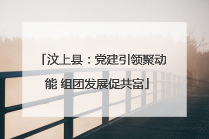 汶上县：党建引领聚动能 组团发展促共富