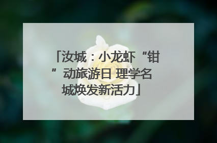 汝城：小龙虾“钳”动旅游日 理学名城焕发新活力