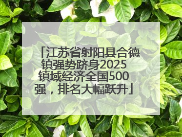 江苏省射阳县合德镇强势跻身2025镇域经济全国500强，排名大幅跃升