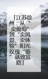 江苏徐州：从“卖葡萄”到“卖风景、卖体验”阳光玫瑰“葡”就致富路
