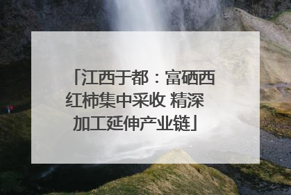 江西于都：富硒西红柿集中采收 精深加工延伸产业链