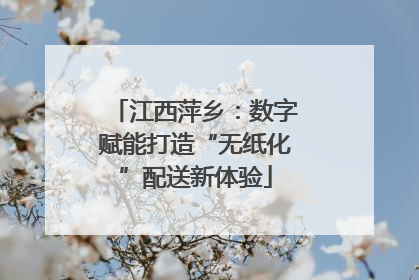江西萍乡：数字赋能打造“无纸化”配送新体验
