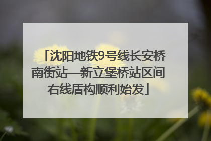 沈阳地铁9号线长安桥南街站—新立堡桥站区间右线盾构顺利始发