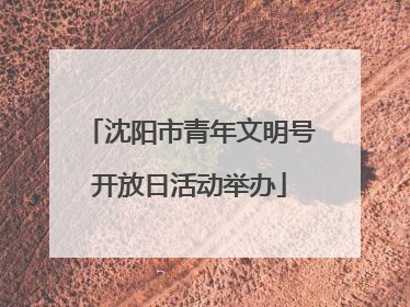 沈阳市青年文明号开放日活动举办