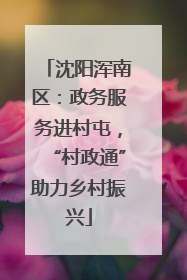 沈阳浑南区：政务服务进村屯，“村政通”助力乡村振兴