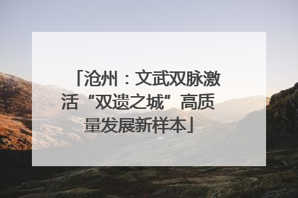沧州：文武双脉激活“双遗之城”高质量发展新样本