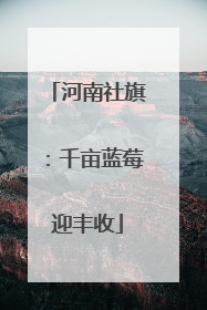 河南社旗：千亩蓝莓迎丰收