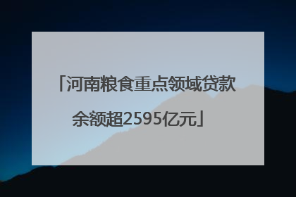 河南粮食重点领域贷款余额超2595亿元