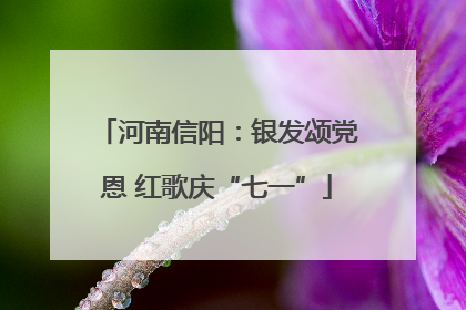 河南信阳：银发颂党恩 红歌庆“七一”