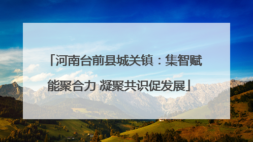 河南台前县城关镇：集智赋能聚合力 凝聚共识促发展