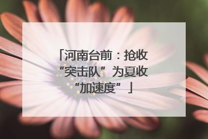 河南台前：抢收“突击队”为夏收“加速度”