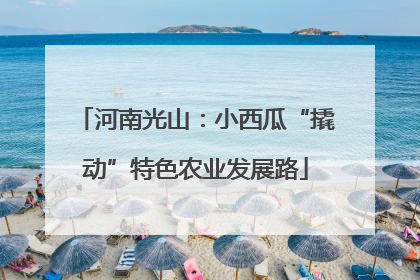 河南光山：小西瓜“撬动”特色农业发展路