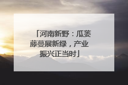 河南新野：瓜蒌藤蔓展新绿，产业振兴正当时