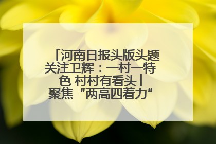 河南日报头版头题关注卫辉：一村一特色 村村有看头 ︳聚焦“两高四着力”·一“县”观察