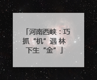 河南西峡：巧抓“机”遇 林下生“金”