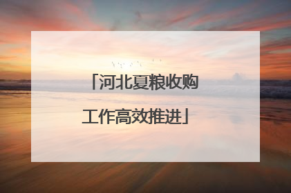 河北夏粮收购工作高效推进