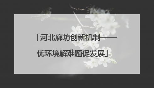 河北廊坊创新机制——优环境解难题促发展