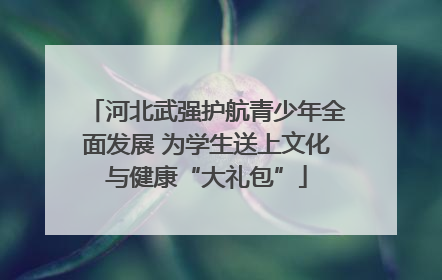 河北武强护航青少年全面发展 为学生送上文化与健康“大礼包”