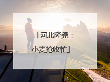 河北隆尧：小麦抢收忙