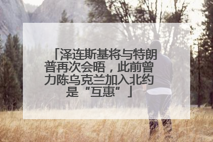 泽连斯基将与特朗普再次会晤，此前曾力陈乌克兰加入北约是“互惠”