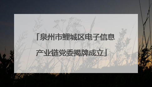 泉州市鲤城区电子信息产业链党委揭牌成立