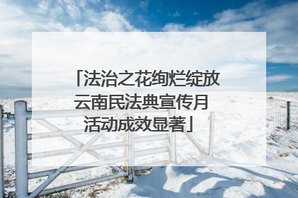 法治之花绚烂绽放 云南民法典宣传月活动成效显著