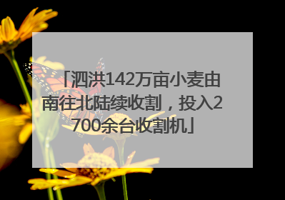 泗洪142万亩小麦由南往北陆续收割，投入2700余台收割机